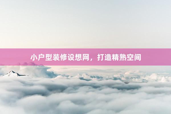 小户型装修设想网，打造精熟空间