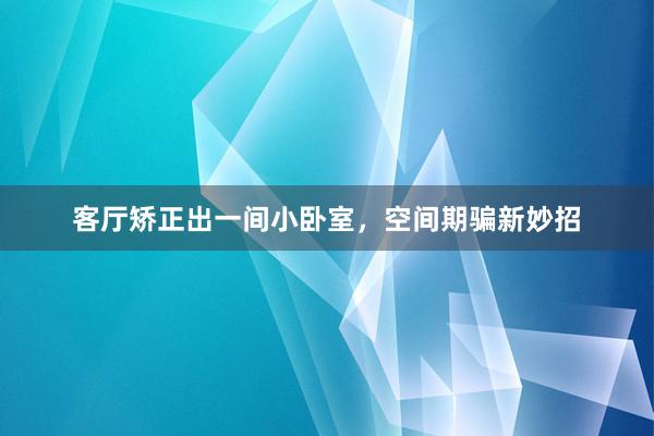 客厅矫正出一间小卧室,空间期骗新妙招